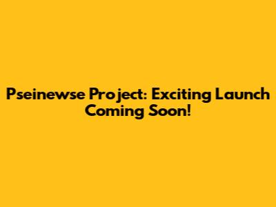 Pseinewse Project: Exciting Launch Coming Soon!