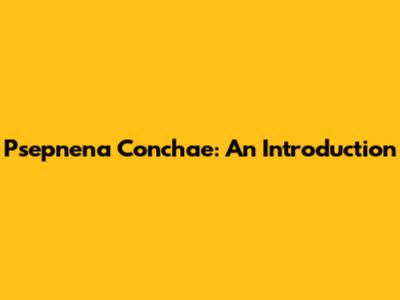 Psepnena Conchae: An Introduction