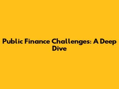 Public Finance Challenges: A Deep Dive