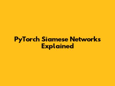 PyTorch Siamese Networks Explained