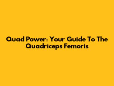 Quad Power: Your Guide To The Quadriceps Femoris