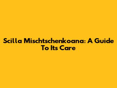 Scilla Mischtschenkoana: A Guide To Its Care