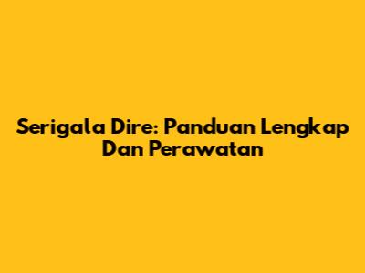 Serigala Dire: Panduan Lengkap Dan Perawatan