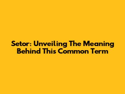 Setor: Unveiling The Meaning Behind This Common Term