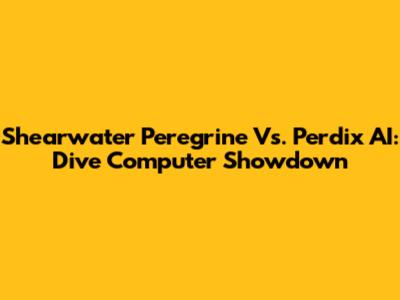 Shearwater Peregrine Vs. Perdix AI: Dive Computer Showdown