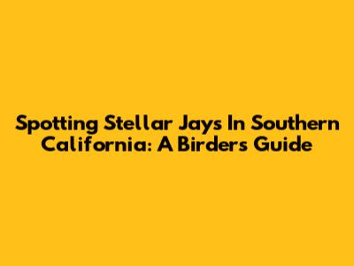 Spotting Stellar Jays In Southern California: A Birder's Guide
