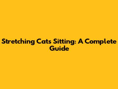 Stretching Cats Sitting: A Complete Guide