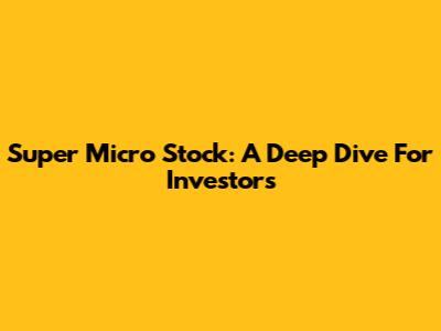 Super Micro Stock: A Deep Dive For Investors
