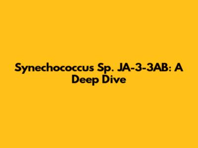 Synechococcus Sp. JA-3-3AB: A Deep Dive