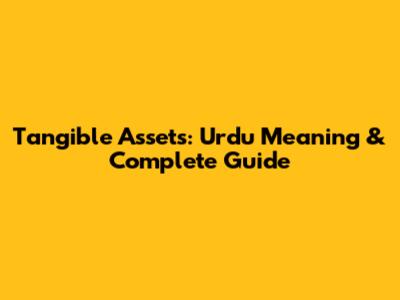 Tangible Assets: Urdu Meaning & Complete Guide