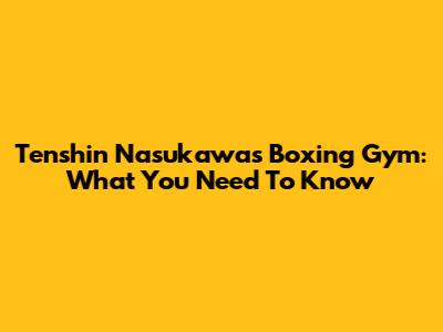 Tenshin Nasukawa's Boxing Gym: What You Need To Know