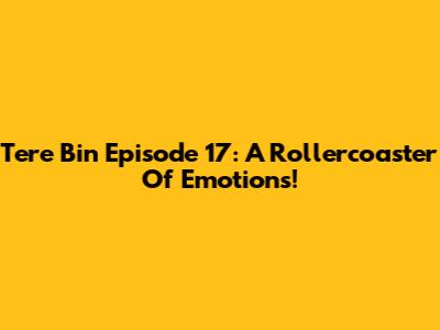 Tere Bin Episode 17: A Rollercoaster Of Emotions!
