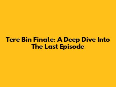 Tere Bin Finale: A Deep Dive Into The Last Episode