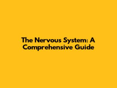 The Nervous System: A Comprehensive Guide