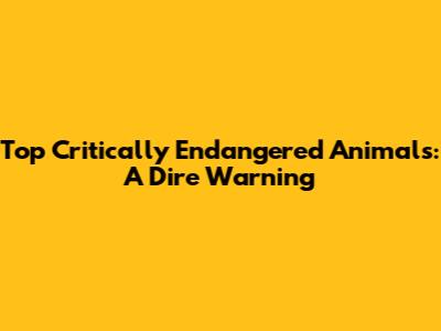 Top Critically Endangered Animals: A Dire Warning
