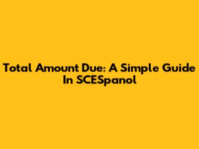 Total Amount Due: A Simple Guide In SCESpanol