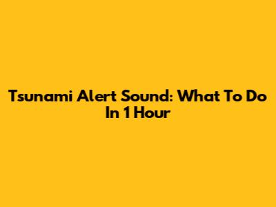 Tsunami Alert Sound: What To Do In 1 Hour