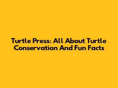 Turtle Press: All About Turtle Conservation And Fun Facts