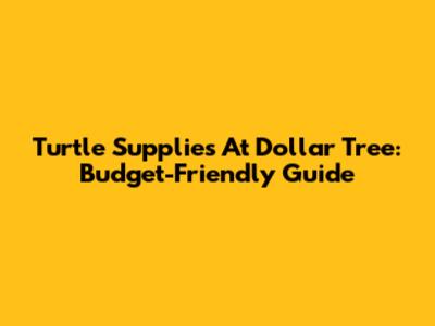 Turtle Supplies At Dollar Tree: Budget-Friendly Guide