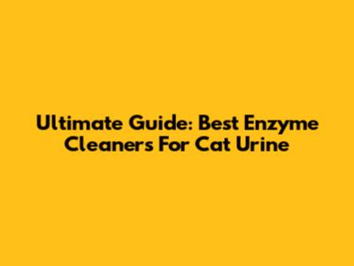 Ultimate Guide: Best Enzyme Cleaners For Cat Urine