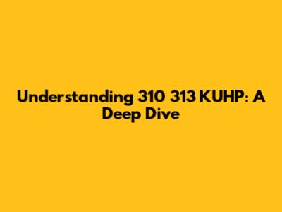 Understanding 310 313 KUHP: A Deep Dive