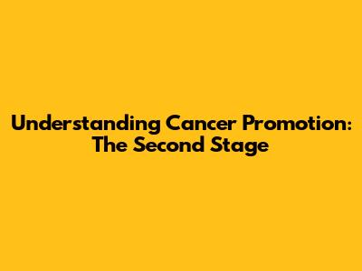 Understanding Cancer Promotion: The Second Stage
