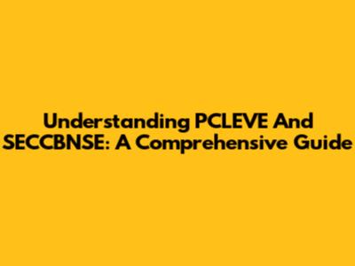 Understanding PCLEVE And SECCBNSE: A Comprehensive Guide