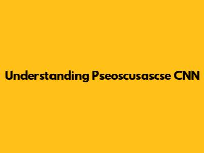 Understanding Pseoscusascse CNN