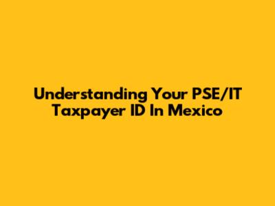 Understanding Your PSE/IT Taxpayer ID In Mexico