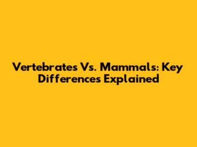 Vertebrates Vs. Mammals: Key Differences Explained