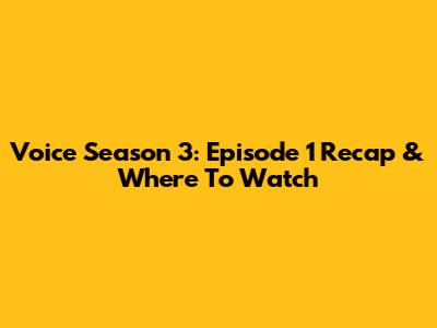 Voice Season 3: Episode 1 Recap & Where To Watch