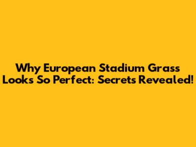 Why European Stadium Grass Looks So Perfect: Secrets Revealed!