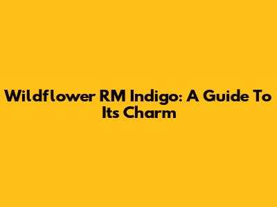 Wildflower RM Indigo: A Guide To Its Charm