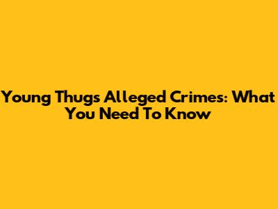 Young Thug's Alleged Crimes: What You Need To Know