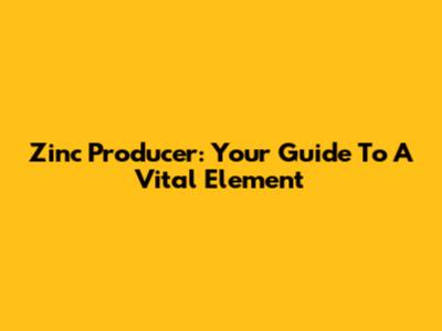 Zinc Producer: Your Guide To A Vital Element