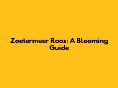 Zoetermeer Roos: A Blooming Guide